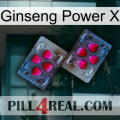 Ginseng Power X 15